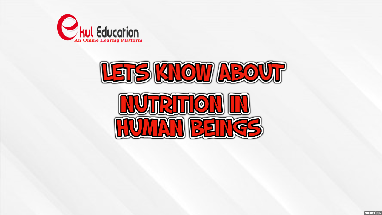 NUTRITION IN HUMAN BEINGS EKUL EDUCATION