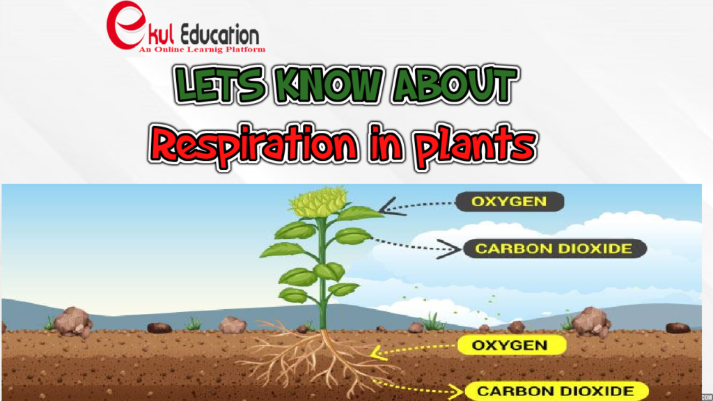 RESPIRATION IN PLANTS EKUL EDUCATION