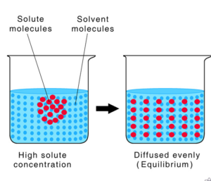 OSMOSIS AND DIFFUSION - EKUL EDUCATION