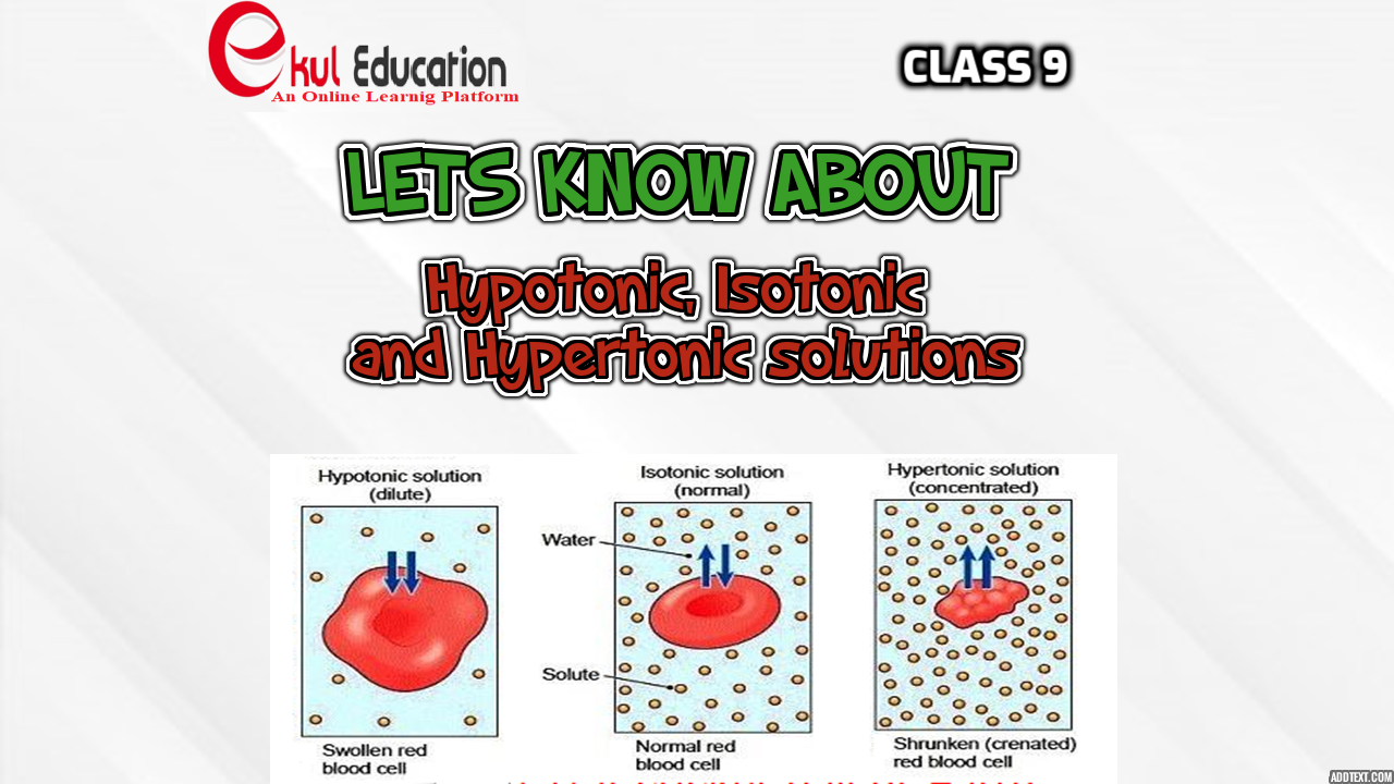 Isotonic Solution Diagram